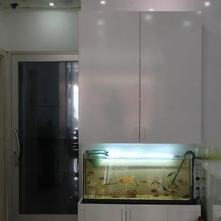 Ayyildizlar 3* Istanbul